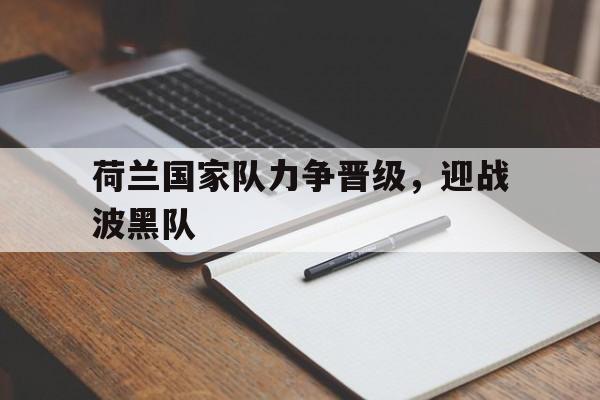 关于荷兰国家队力争晋级，迎战波黑队的信息